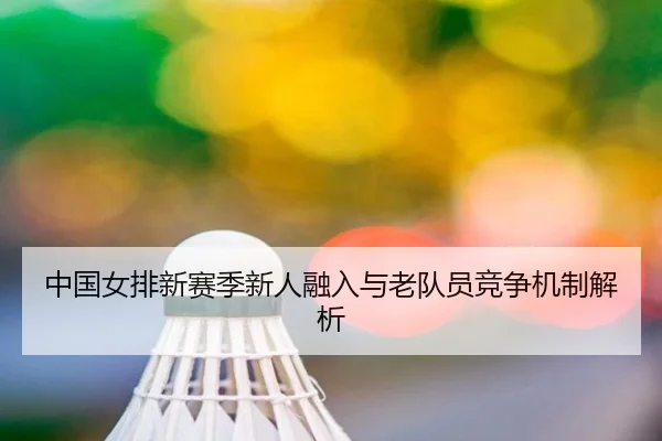 中国女排新赛季新人融入与老队员竞争机制解析